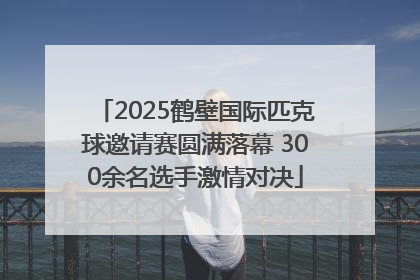 2025鹤壁国际匹克球邀请赛圆满落幕 300余名选手激情对决